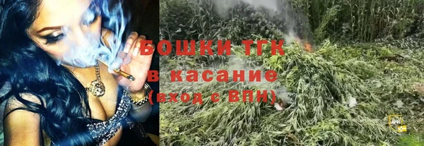 дживик Вязьма